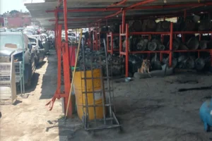 Yonke El Guero Morelia