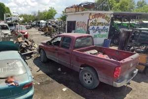 Autopartes Solidaridad